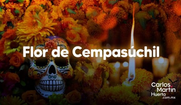 Cempasúchil: La flor que ilumina el camino en el Día de Muertos