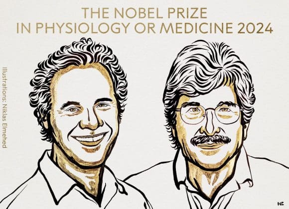 Otorgan premio Nobel de Medicina a Victor Ambros y Gary Ruvkun por el descubrimiento del microRNA