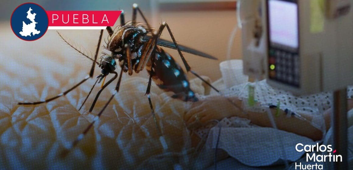 Hospitalizan a 6 personas por dengue en Puebla