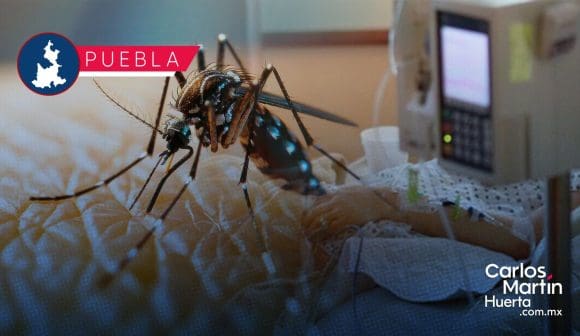 Hospitalizan a 6 personas por dengue en Puebla