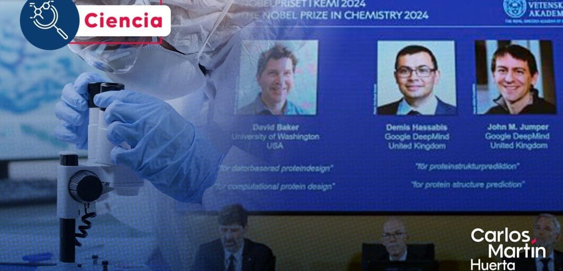 Nobel de Química premia avances en predicción de estructura de proteínas   