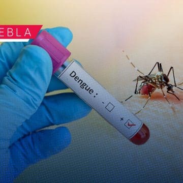 Suma Puebla 4 mil 257 casos acumulados de dengue: Salud