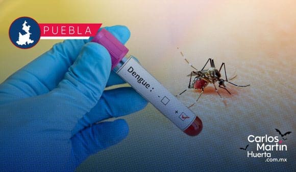 Suma Puebla 4 mil 257 casos acumulados de dengue: Salud