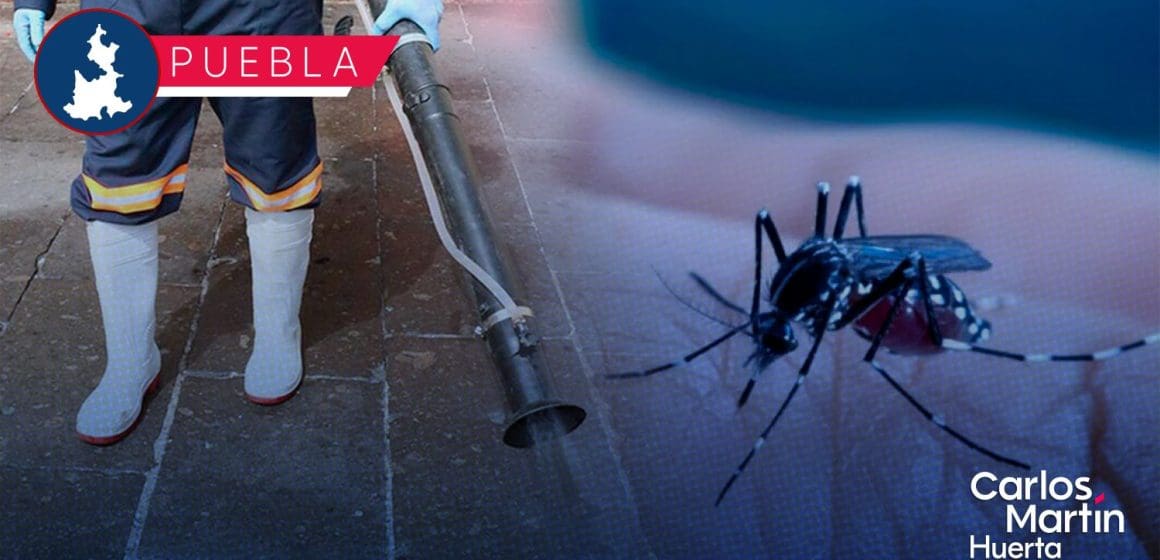 Puebla, sin contagios ni defunciones por dengue en las últimas 24 horas