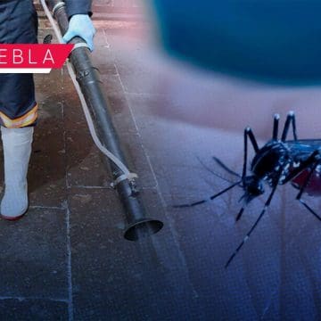 Puebla, sin contagios ni defunciones por dengue en las últimas 24 horas