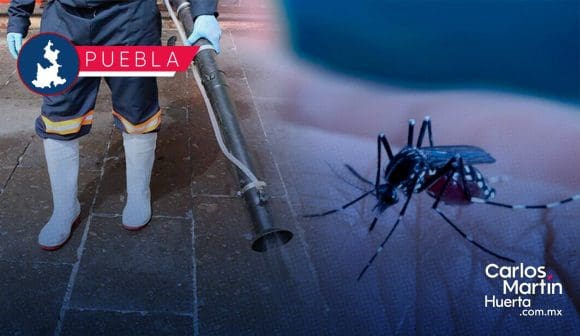 Puebla, sin contagios ni defunciones por dengue en las últimas 24 horas