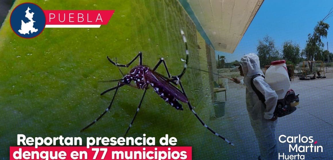 Van más de 3 mil 900 casos de Dengue en 77 municipios de Puebla en 2024