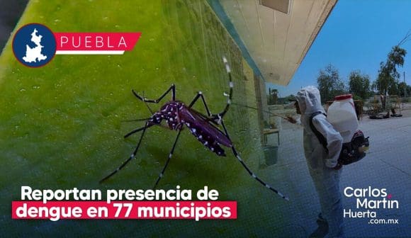 Van más de 3 mil 900 casos de Dengue en 77 municipios de Puebla en 2024