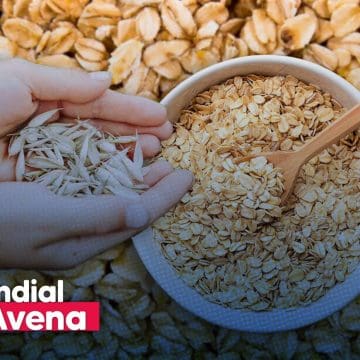 Avena: el superalimento que mejora tu salud y sorprende con su versatilidad