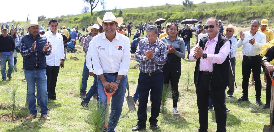 Cumple gobierno de Sergio Salomón meta del plan reforestación