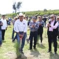 Cumple gobierno de Sergio Salomón meta del plan reforestación