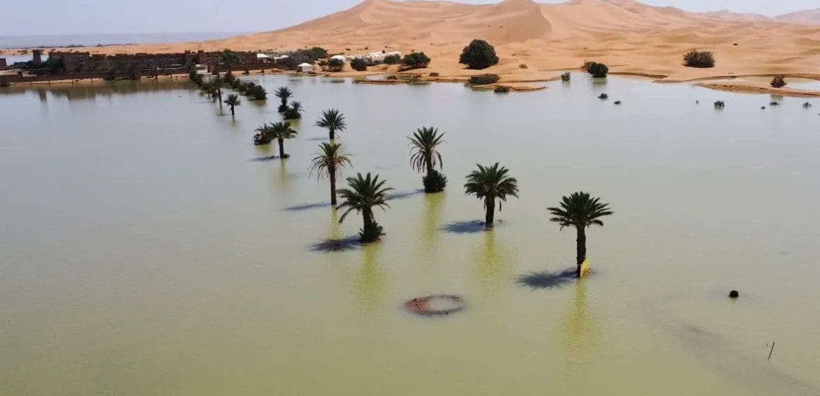 Se inunda desierto del Sahara, por primera vez en 50 años