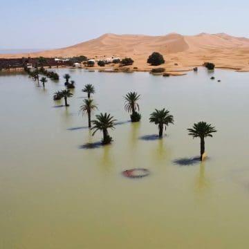 Se inunda desierto del Sahara, por primera vez en 50 años