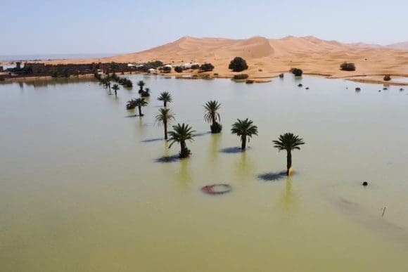 Se inunda desierto del Sahara, por primera vez en 50 años