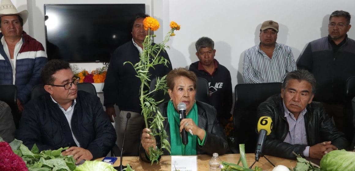 Impulsan en el Congreso del Estado a productores de flor de cempasúchil y terciopelo​