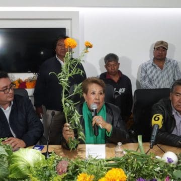 Impulsan en el Congreso del Estado a productores de flor de cempasúchil y terciopelo​