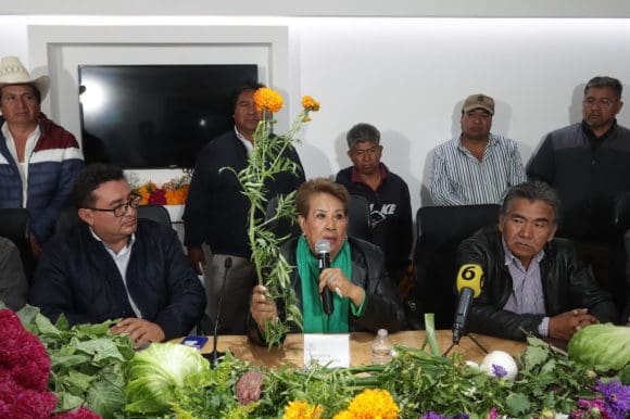 Impulsan en el Congreso del Estado a productores de flor de cempasúchil y terciopelo​