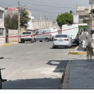 Localizan cuerpos sepultados durante cateo en San Antonio Abad