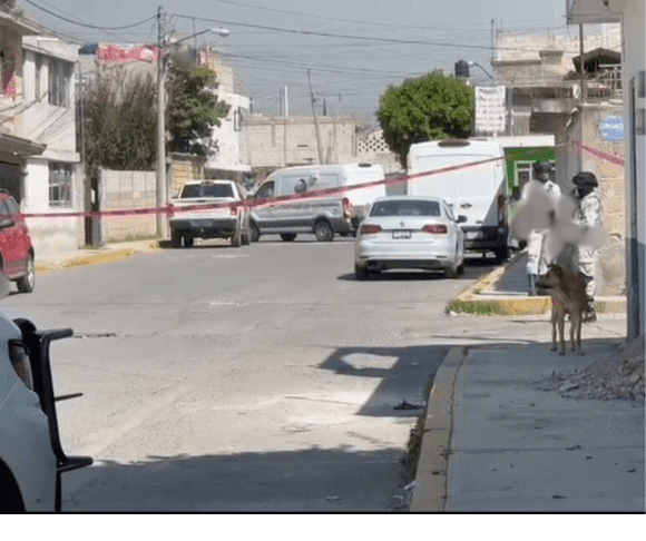 Localizan cuerpos sepultados durante cateo en San Antonio Abad