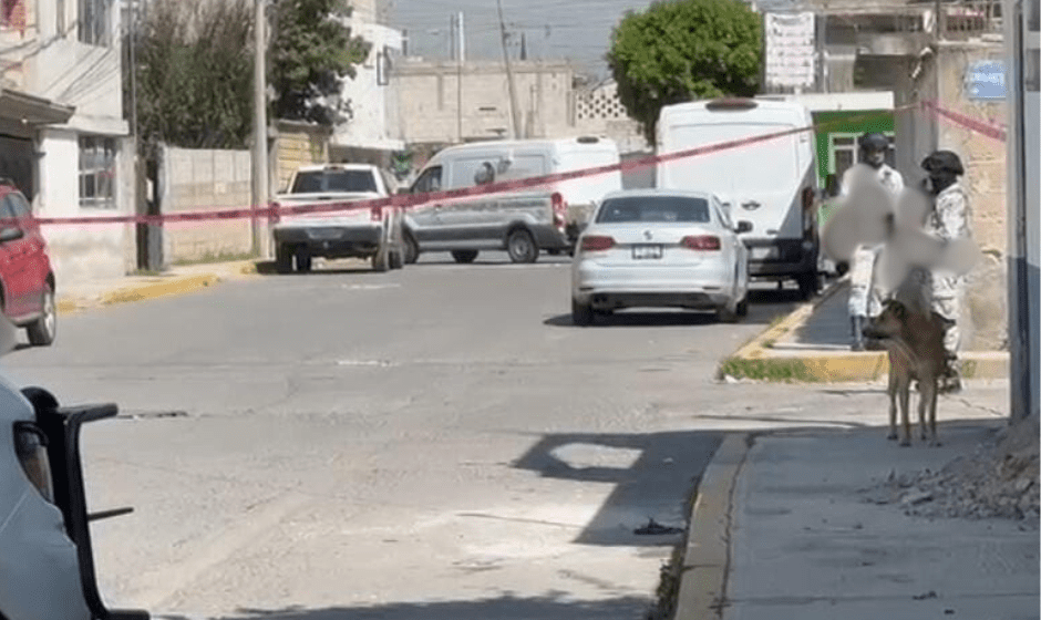 Localizan cuerpos sepultados durante cateo en San Antonio Abad