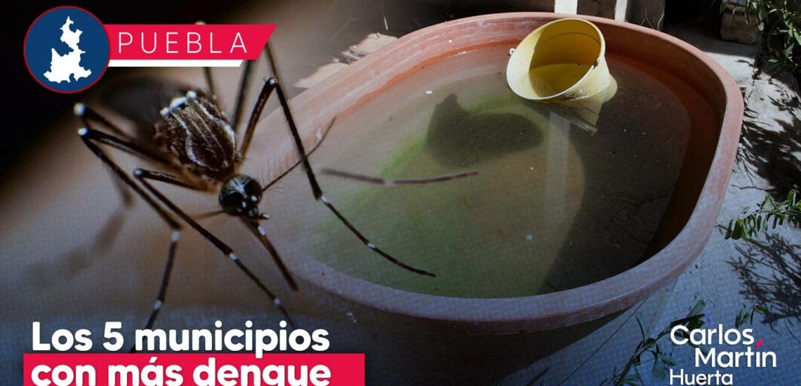 Estos son los 5 municipios con más dengue en Puebla