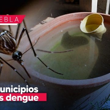 Estos son los 5 municipios con más dengue en Puebla