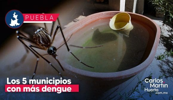 Estos son los 5 municipios con más dengue en Puebla