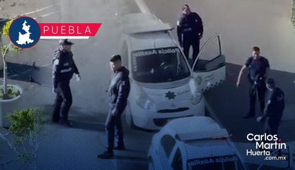 Maltrato animal en el Centro Comercial Angelópolis; policías matan paloma