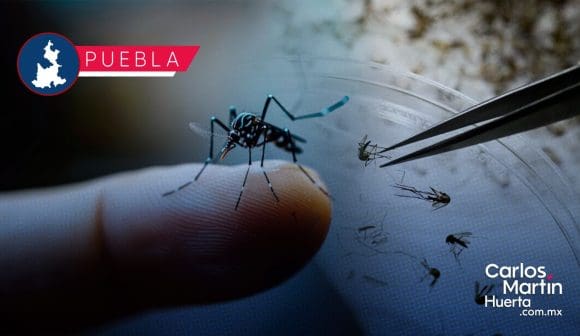 Registra Puebla 43 nuevos contagios de dengue en últimas 24 horas