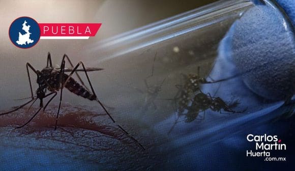 Reporta Salud 25 personas hospitalizadas por dengue en Puebla