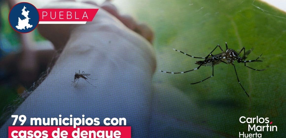 Reporta Salud 79 municipios de Puebla con casos de dengue