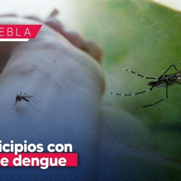 Reporta Salud 79 municipios de Puebla con casos de dengue