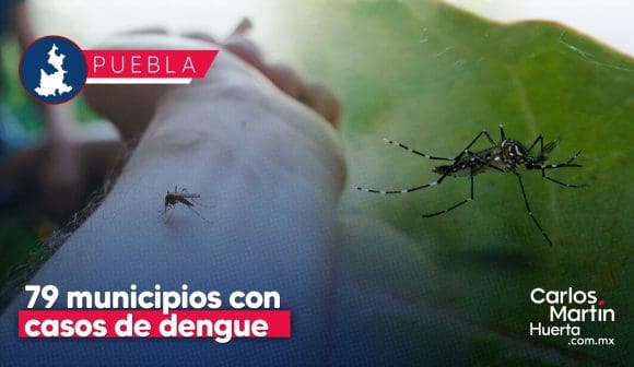 Reporta Salud 79 municipios de Puebla con casos de dengue