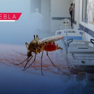 Reportan 10 personas hospitalizadas por dengue en las últimas 24 horas