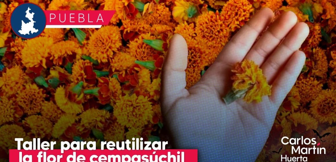 Reutiliza la flor de cempasúchil y crea tintes sustentables; ofrecen taller gratuito