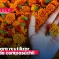 Reutiliza la flor de cempasúchil y crea tintes sustentables; ofrecen taller gratuito