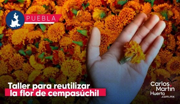 Reutiliza la flor de cempasúchil y crea tintes sustentables; ofrecen taller gratuito