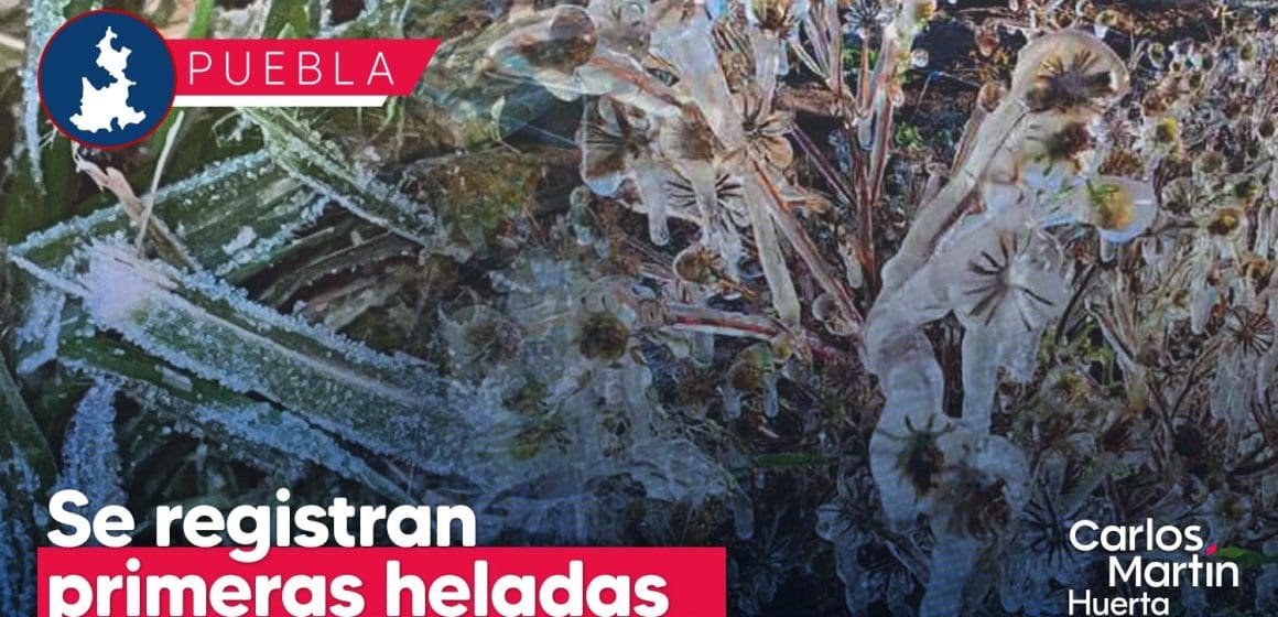 Se registran las primeras heladas en Puebla; conoce los municipios más fríos