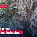 Se registran las primeras heladas en Puebla; conoce los municipios más fríos