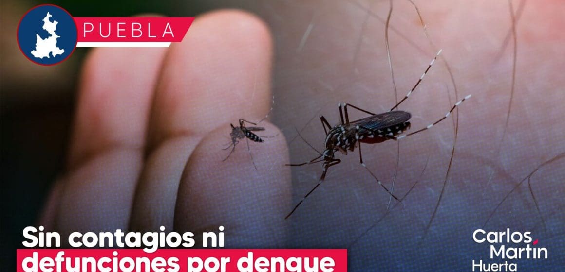 Sin contagios ni defunciones por dengue en Puebla en últimas 24 horas