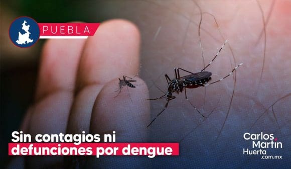 Sin contagios ni defunciones por dengue en Puebla en últimas 24 horas