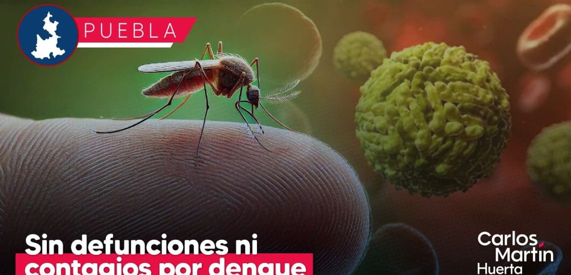 Sin defunciones ni contagios por dengue en Puebla en las últimas 24 horas