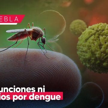 Sin defunciones ni contagios por dengue en Puebla en las últimas 24 horas