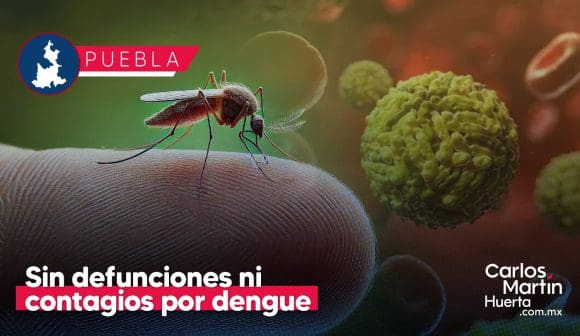 Sin defunciones ni contagios por dengue en Puebla en las últimas 24 horas