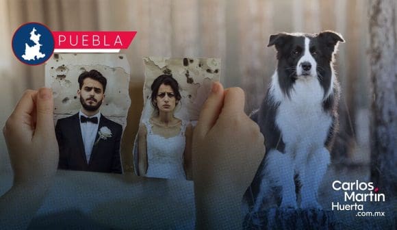 En un divorcio, ¿Con quién se queda el perro? Proponen en Puebla Ley Perrhijos