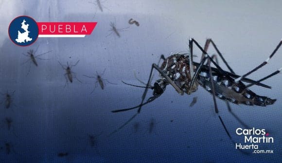 ¡Dengue a la baja! Sin personas hospitalizadas ni defunciones en últimas 24 horas