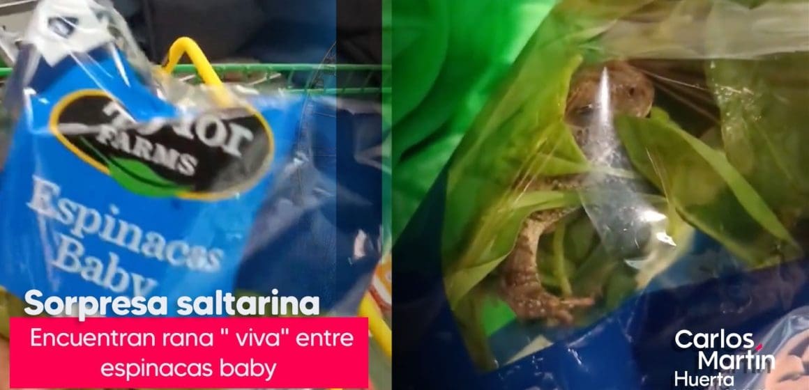 ¡Sorpresa! Encuentran rana viva en bolsa de espinacas baby