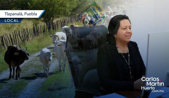 SDR coordina acciones con SENASICA y AMSDA ante contingencia sanitaria en sector ganadero