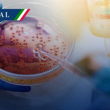 Salud confirma 17 muertes de menores por bacteria klebsiella oxytoca