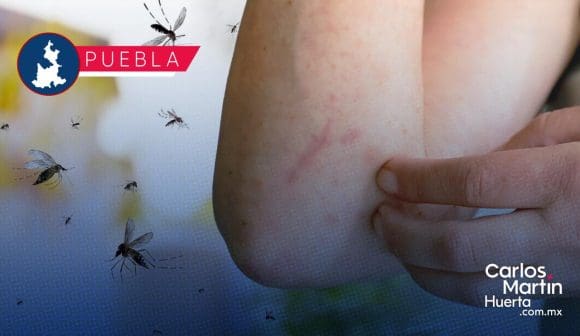 Concentran 5 municipios el 60.3% de los casos de dengue en Puebla